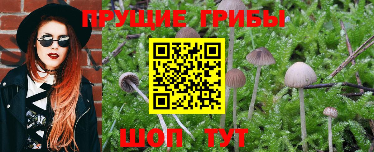 Псилоцибиновые грибы Magic Shrooms Тельмана