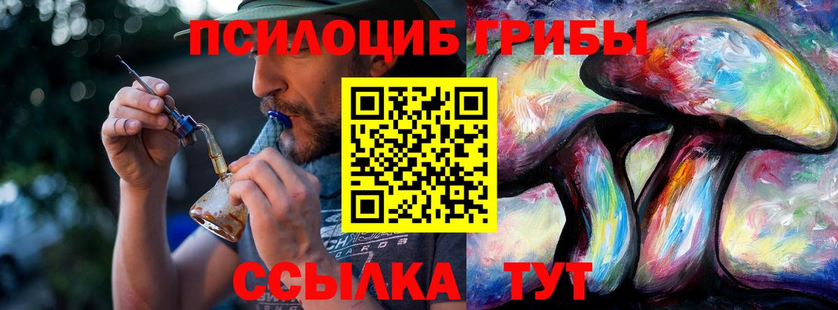 Псилоцибиновые грибы мицелий  Вход с VPN  Тельмана 